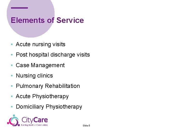 Elements of Service • Acute nursing visits • Post hospital discharge visits • Case