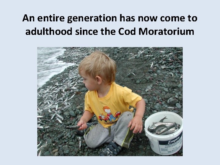  An entire generation has now come to adulthood since the Cod Moratorium 