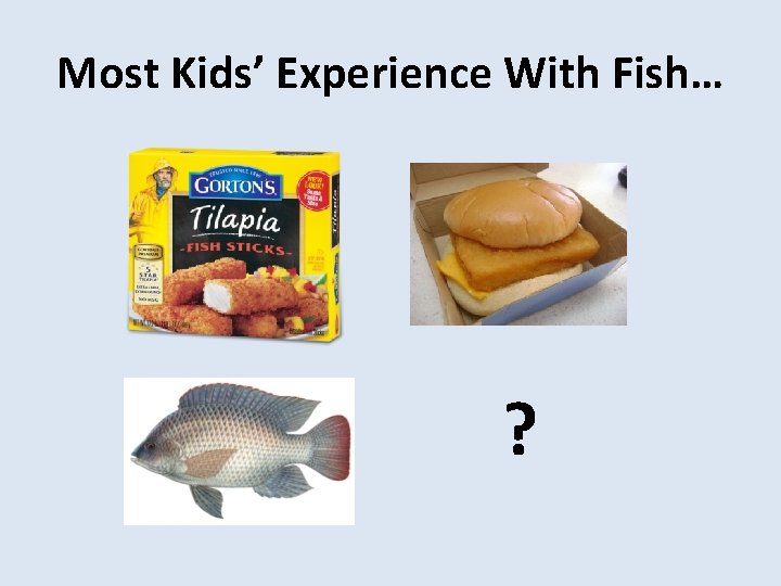 Most Kids’ Experience With Fish… ? 