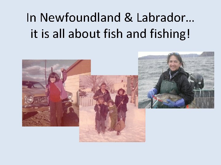 In Newfoundland & Labrador… it is all about fish and fishing! 