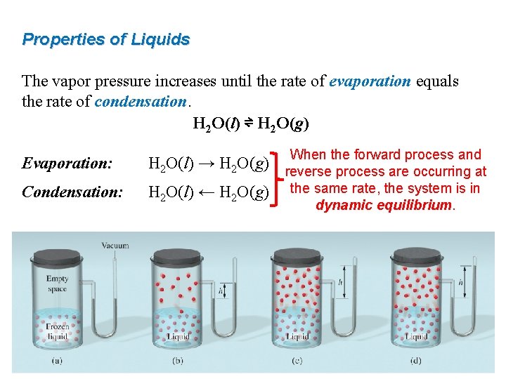 Properties of Liquids The vapor pressure increases until the rate of evaporation equals the