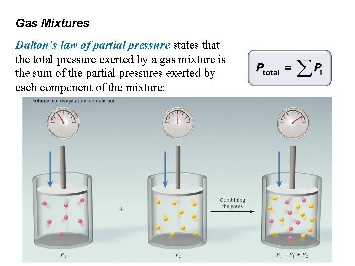 Gas Mixtures Dalton’s law of partial pressure states that the total pressure exerted by