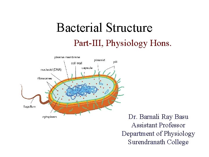 Bacterial Structure Part-III, Physiology Hons. Dr. Barnali Ray Basu Assistant Professor Department of Physiology
