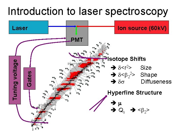 Introduction to laser spectroscopy Laser Ion source (60 k. V) Gates Tuning voltage PMT