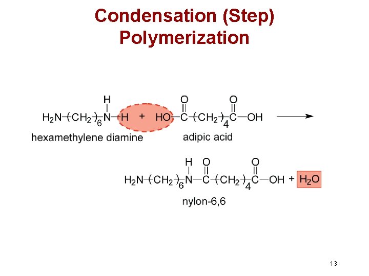 Condensation (Step) Polymerization 13 Condensation (Step) Polymerization 13