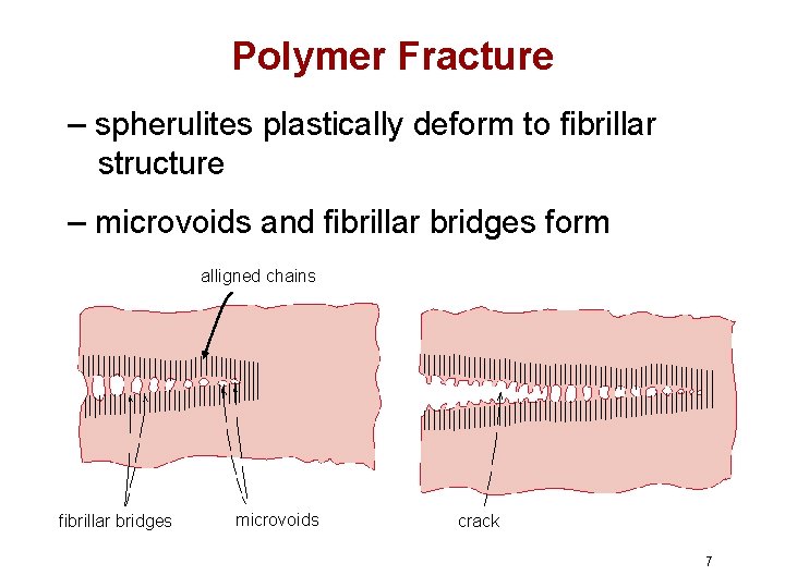 Polymer Fracture – spherulites plastically deform to fibrillar structure – microvoids and fibrillar bridges Polymer Fracture – spherulites plastically deform to fibrillar structure – microvoids and fibrillar bridges