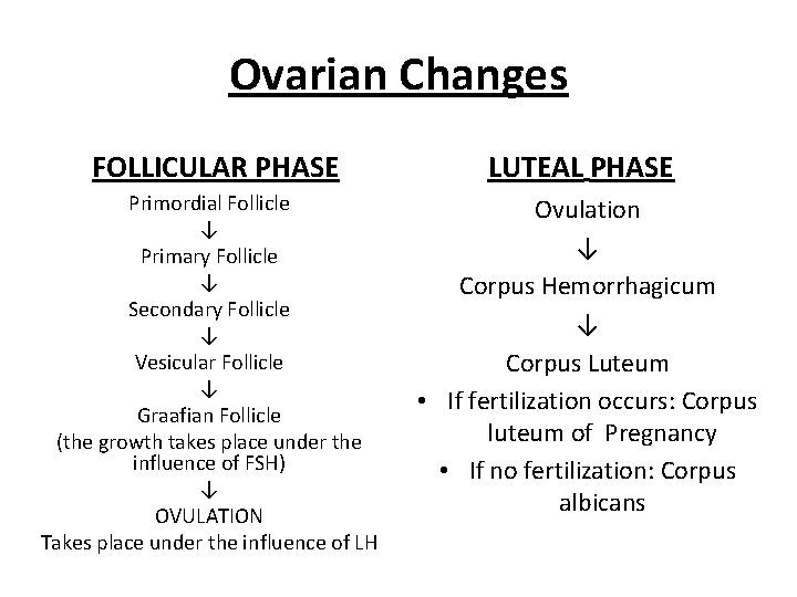 Ovarian Changes FOLLICULAR PHASE LUTEAL PHASE Primordial Follicle ↓ Primary Follicle ↓ Secondary Follicle