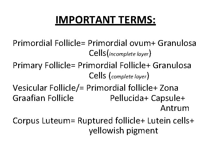 IMPORTANT TERMS: Primordial Follicle= Primordial ovum+ Granulosa Cells(incomplete layer) Primary Follicle= Primordial Follicle+ Granulosa