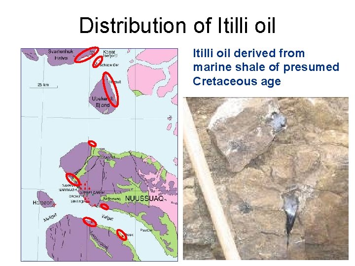 Distribution of Itilli oil derived from marine shale of presumed Cretaceous age 