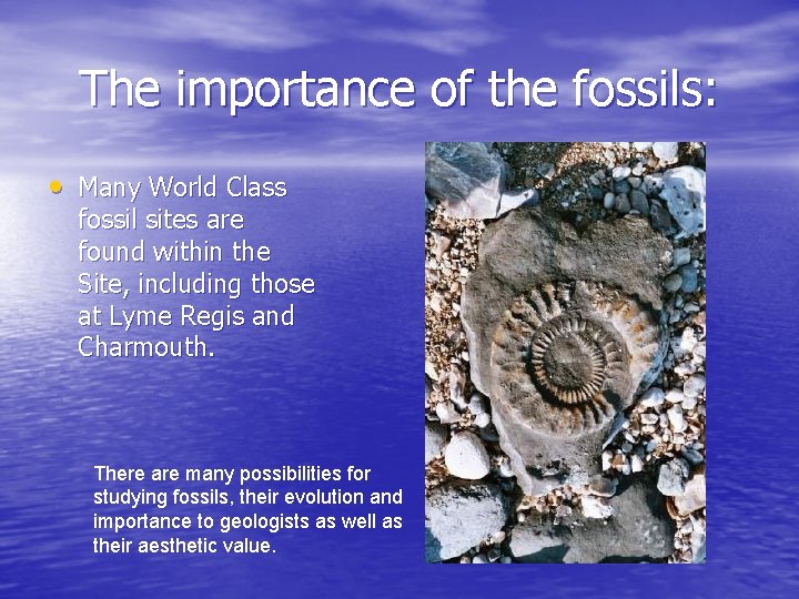 The importance of the fossils: • Many World Class fossil sites are found within