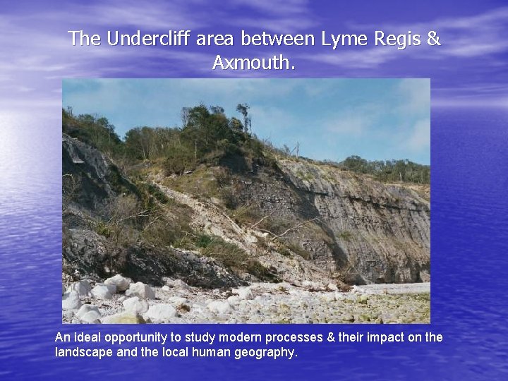 The Undercliff area between Lyme Regis & Axmouth. An ideal opportunity to study modern