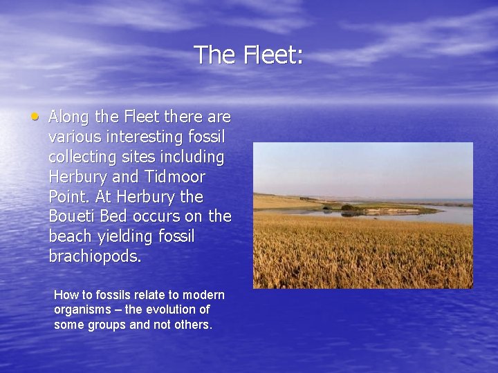 The Fleet: • Along the Fleet there are various interesting fossil collecting sites including