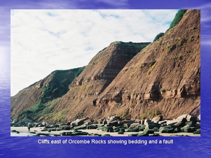 Cliffs east of Orcombe Rocks showing bedding and a fault 