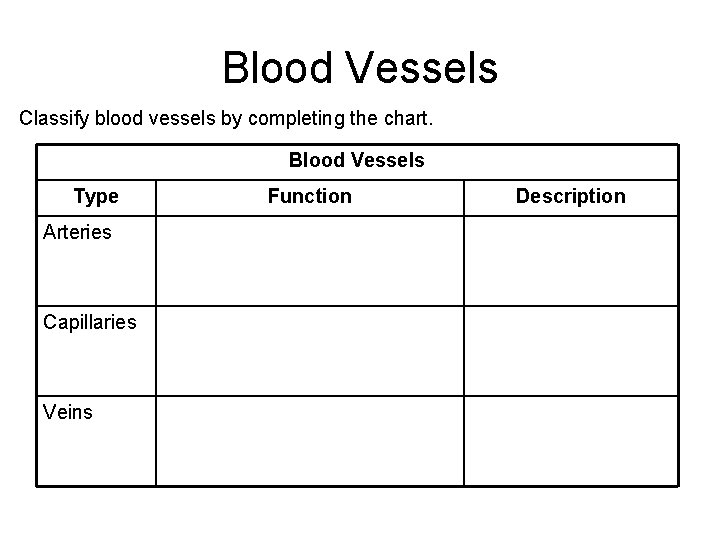 Chapter 19 Circulation Section 1 The Circulatory System