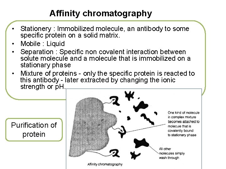 Affinity chromatography • Stationery : Immobilized molecule, an antibody to some specific protein on