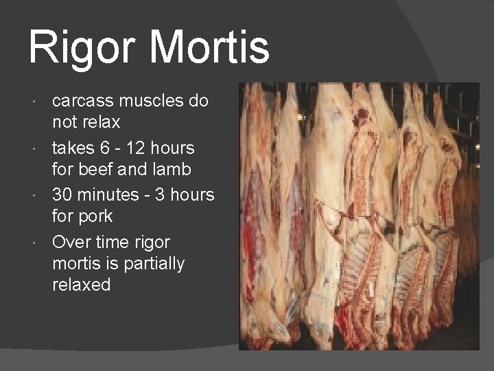 Rigor Mortis carcass muscles do not relax takes 6 - 12 hours for beef Rigor Mortis carcass muscles do not relax takes 6 - 12 hours for beef