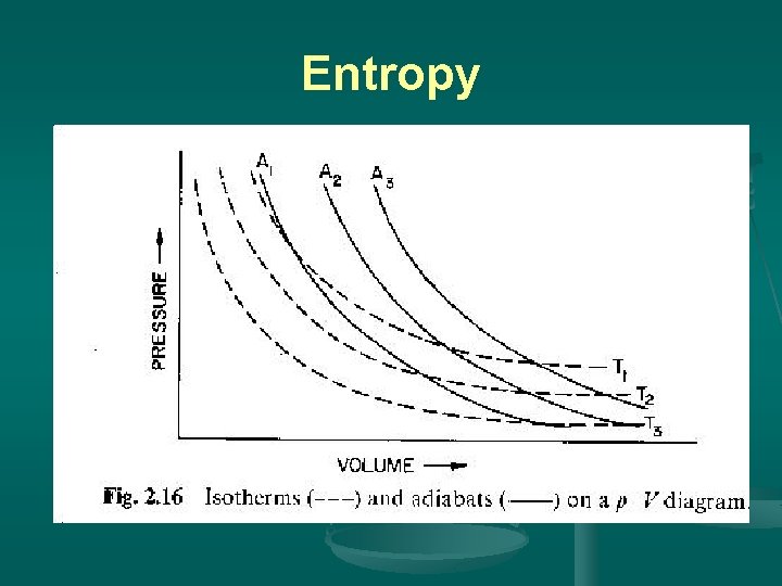 Entropy 