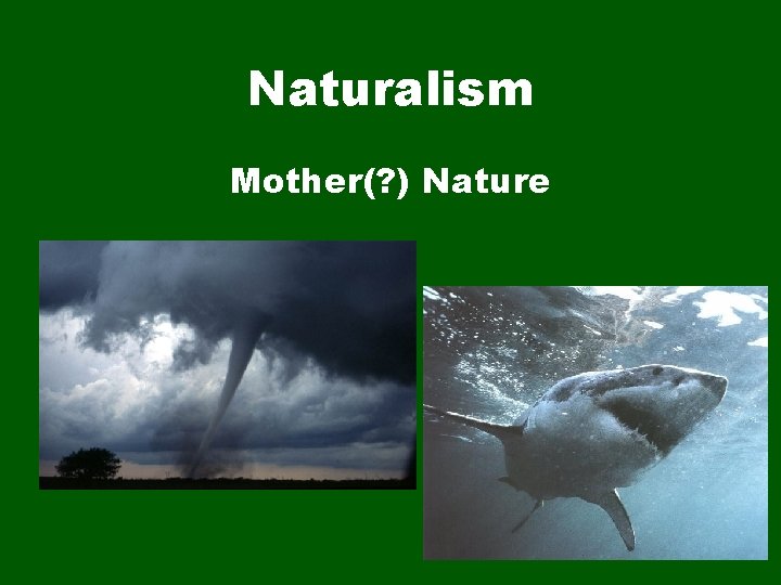 Naturalism Mother(? ) Nature 