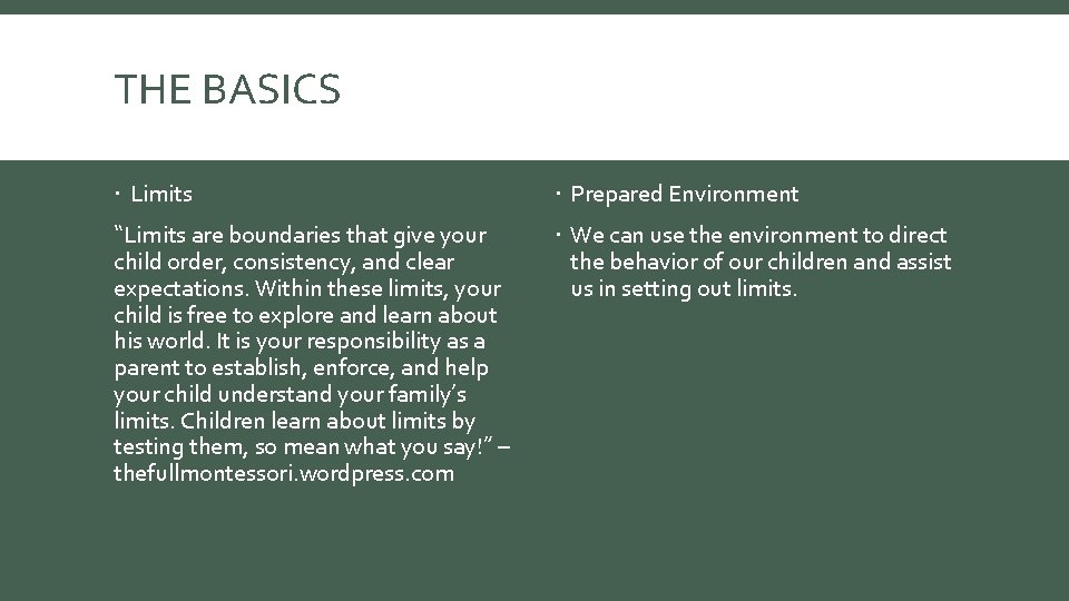 THE BASICS Limits Prepared Environment “Limits are boundaries that give your child order, consistency,