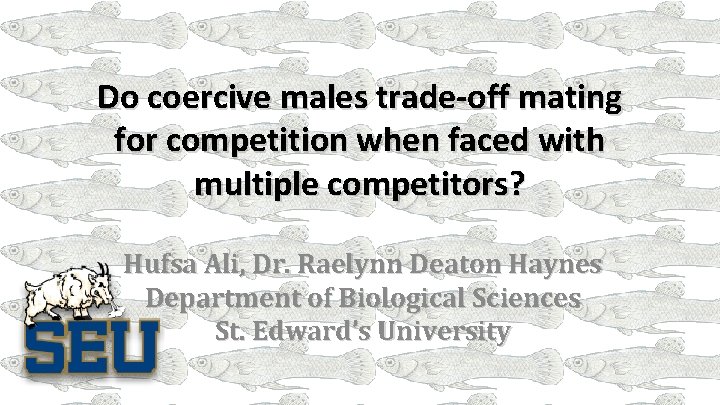 Do coercive males trade-off mating for competition when faced with multiple competitors? Hufsa Ali,