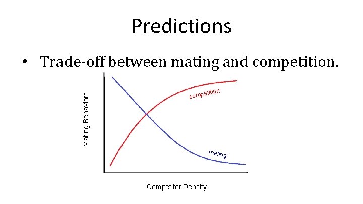 Predictions Mating Behaviors • Trade-off between mating and competition comp matin g Competitor Density