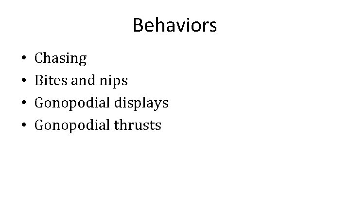 Behaviors • • Chasing Bites and nips Gonopodial displays Gonopodial thrusts 