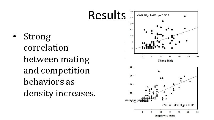 Results r 2=0. 28, df=83, p<0. 001 • Strong correlation between mating and competition