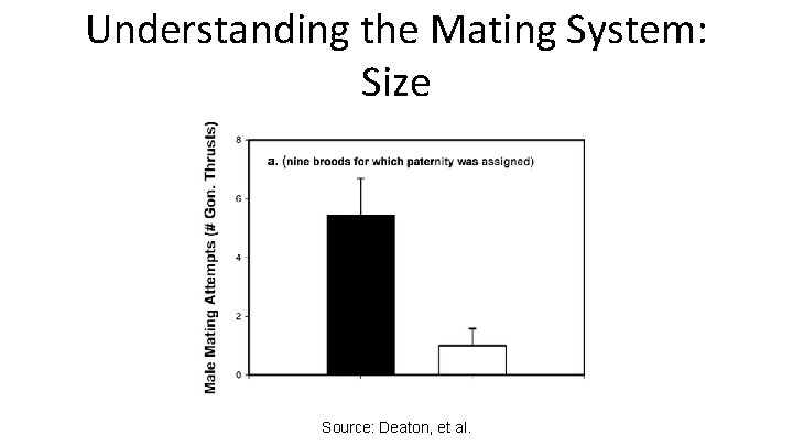 Understanding the Mating System: Size Source: Deaton, et al. 