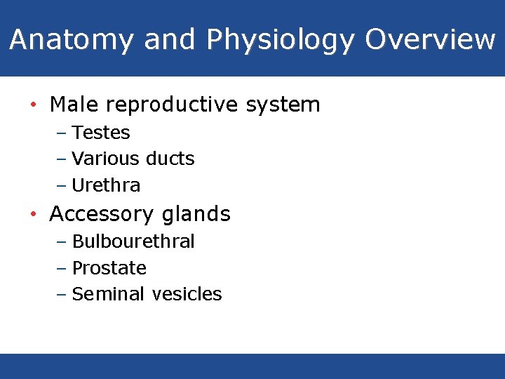Anatomy and Physiology Overview • Male reproductive system – Testes – Various ducts –