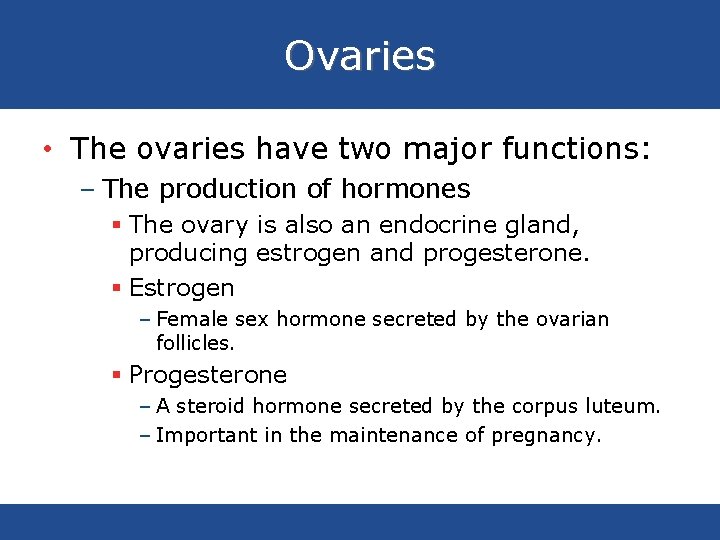 Ovaries • The ovaries have two major functions: – The production of hormones §