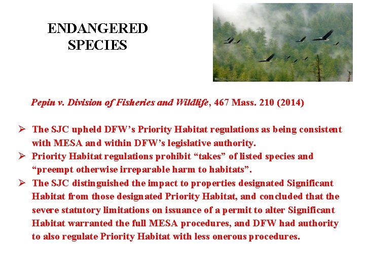 ENDANGERED SPECIES Pepin v. Division of Fisheries and Wildlife, 467 Mass. 210 (2014) Ø