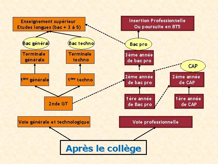 Enseignement supérieur Etudes longues (bac + 3 à 5) Insertion Professionnelle Ou poursuite en