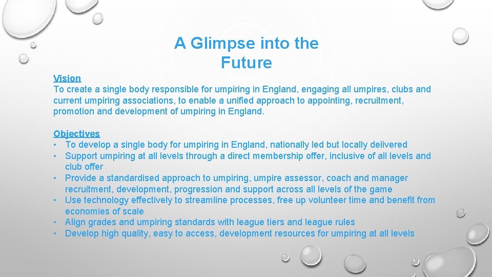 A Glimpse into the Future Vision To create a single body responsible for umpiring