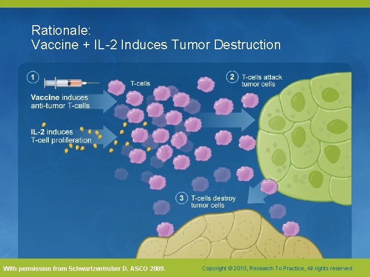 Rationale: Vaccine + IL-2 Induces Tumor Destruction With permission from Schwartzentruber D. ASCO 2009. Rationale: Vaccine + IL-2 Induces Tumor Destruction With permission from Schwartzentruber D. ASCO 2009.