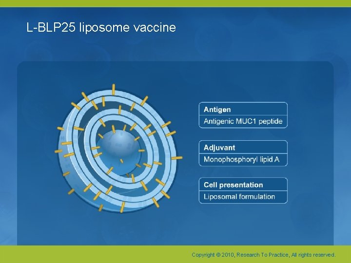 L-BLP 25 liposome vaccine Copyright © 2010, Research To Practice, All rights reserved. L-BLP 25 liposome vaccine Copyright © 2010, Research To Practice, All rights reserved.
