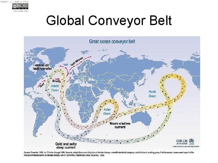 Global Conveyor Belt 