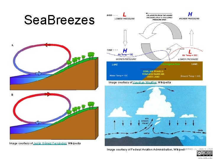 Sea. Breezes Image courtesy of Vaughan Weather, Wikipedia Image courtesy of Jesús Gómez Fernández,