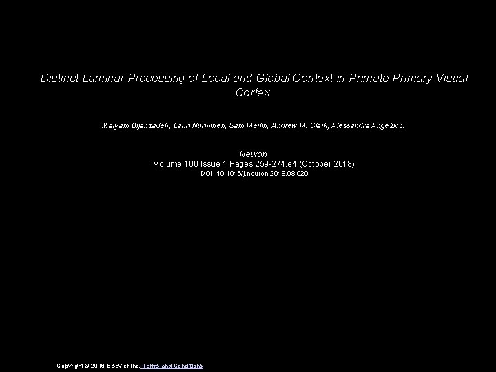 Distinct Laminar Processing of Local and Global Context in Primate Primary Visual Cortex Maryam