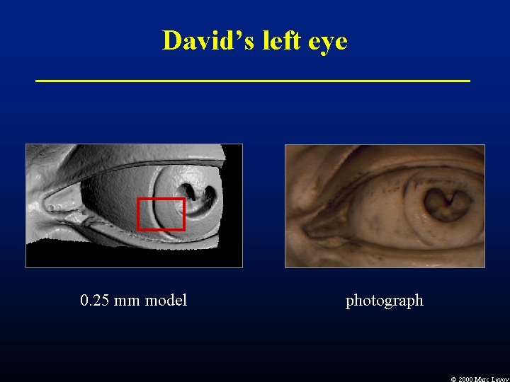 David’s left eye 0. 25 mm model photograph 