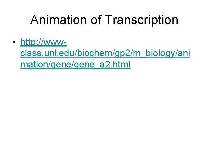 Animation of Transcription • http: //wwwclass. unl. edu/biochem/gp 2/m_biology/ani mation/gene_a 2. html 