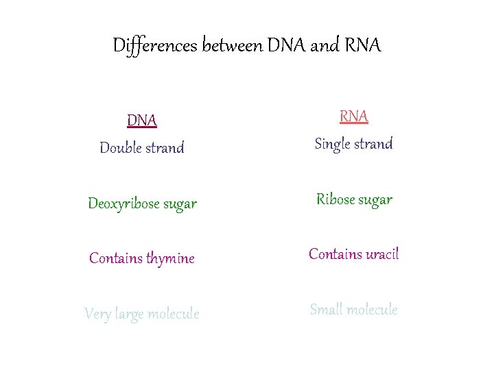 Differences between DNA and RNA Double strand RNA Single strand Deoxyribose sugar Ribose sugar