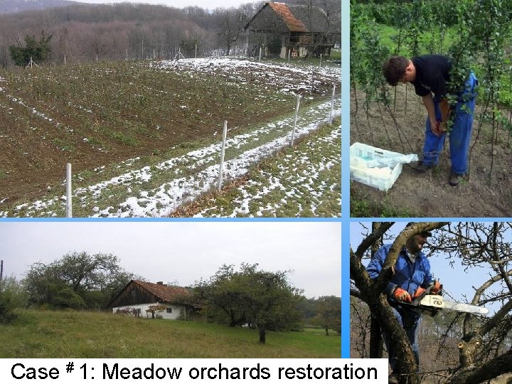 Case # 1: Meadow orchards restoration 