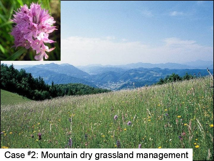 Case #2: Mountain dry grassland management 