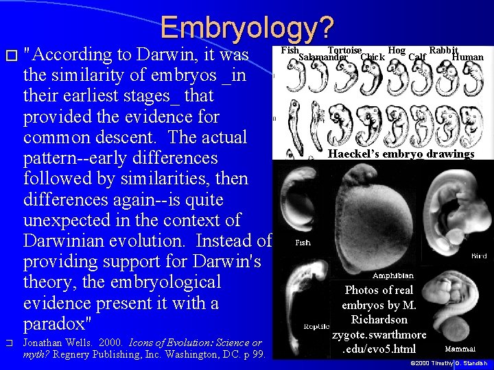 � "According Embryology? to Darwin, it was the similarity of embryos _in their earliest