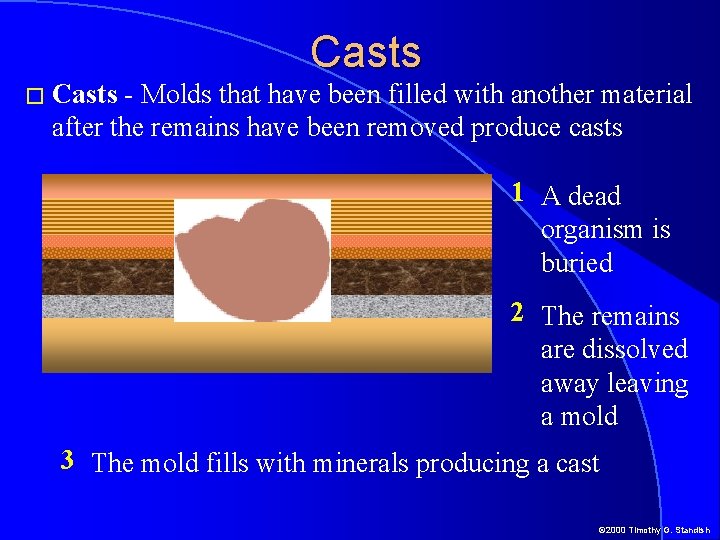 � Casts - Molds that have been filled with another material after the remains