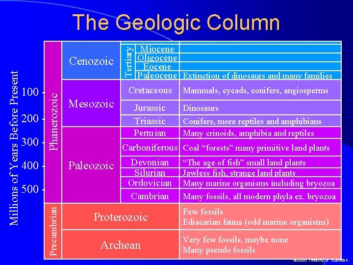 The Geologic Column 200 300 - Phanerozoic 100 - 400 - Mesozoic Paleozoic 500