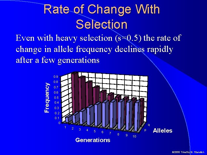 Rate of Change With Selection Even with heavy selection (s=0. 5) the rate of