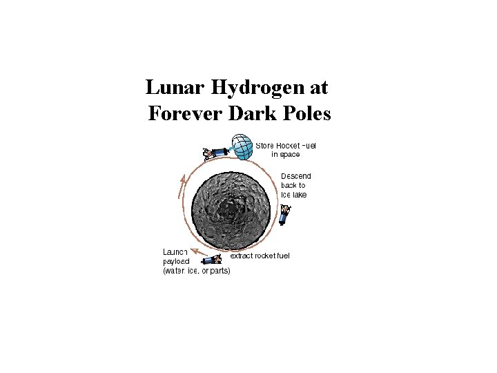 Lunar Hydrogen at Forever Dark Poles 