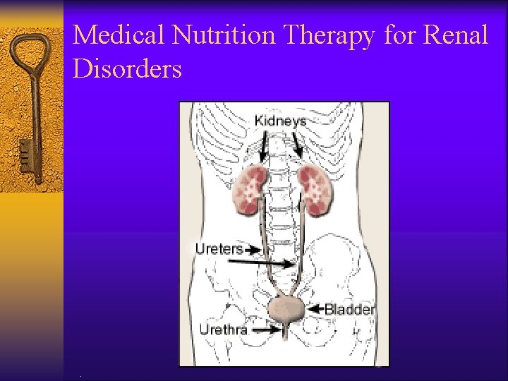 Medical Nutrition Therapy for Renal Disorders . 