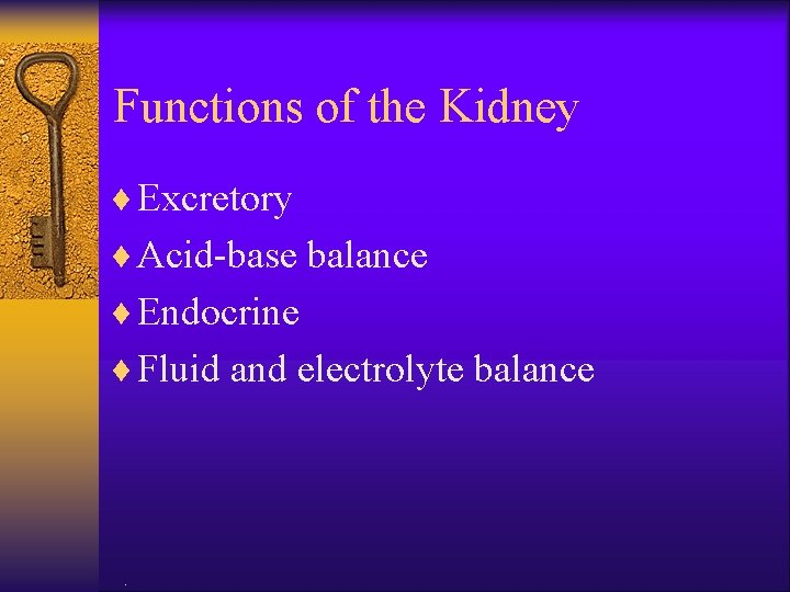 Functions of the Kidney ¨ Excretory ¨ Acid-base balance ¨ Endocrine ¨ Fluid and